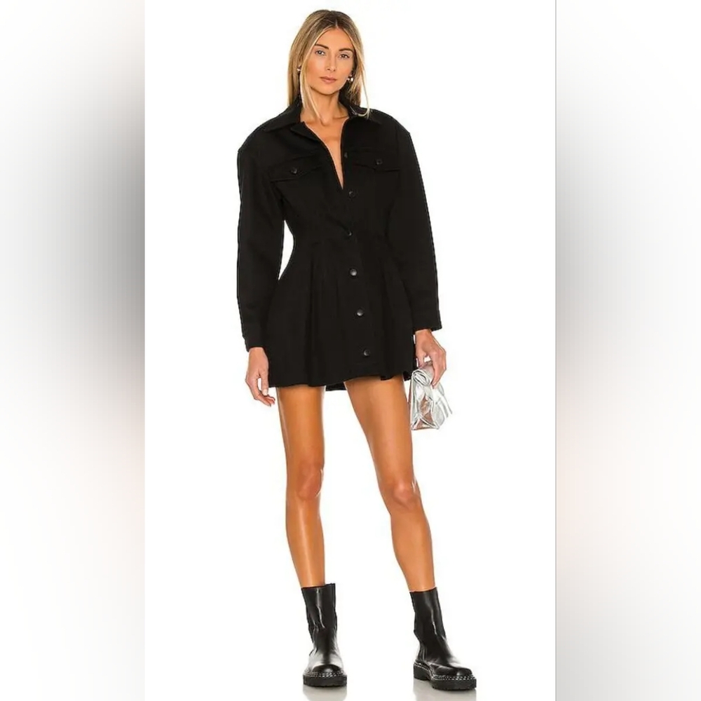 Alexander Wang Fit and Flare Denim Dress